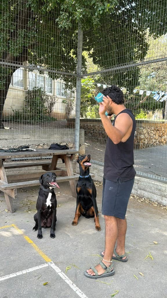 רגע מהחצר והטיולים בפנסיון חבר בחצר