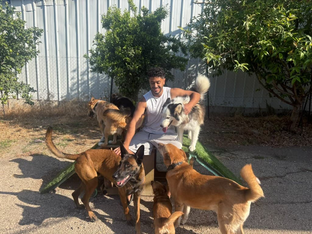 רגע מהחצר והטיולים בפנסיון חבר בחצר