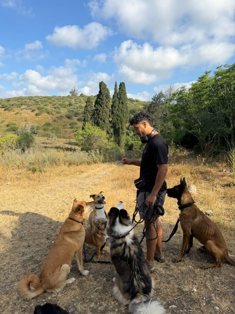 רגע מהחצר והטיולים בפנסיון חבר בחצר
