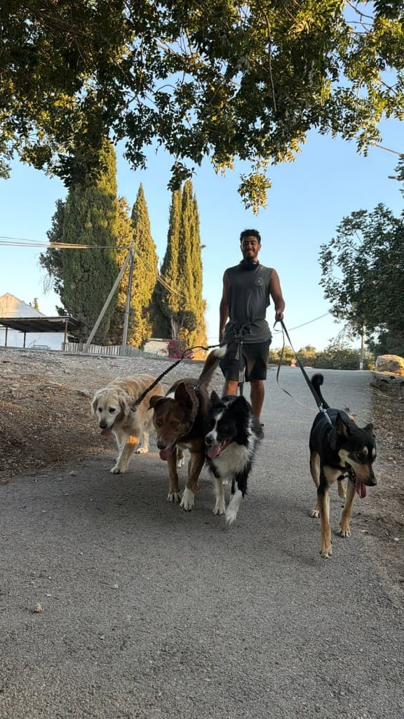 חבר בחצר