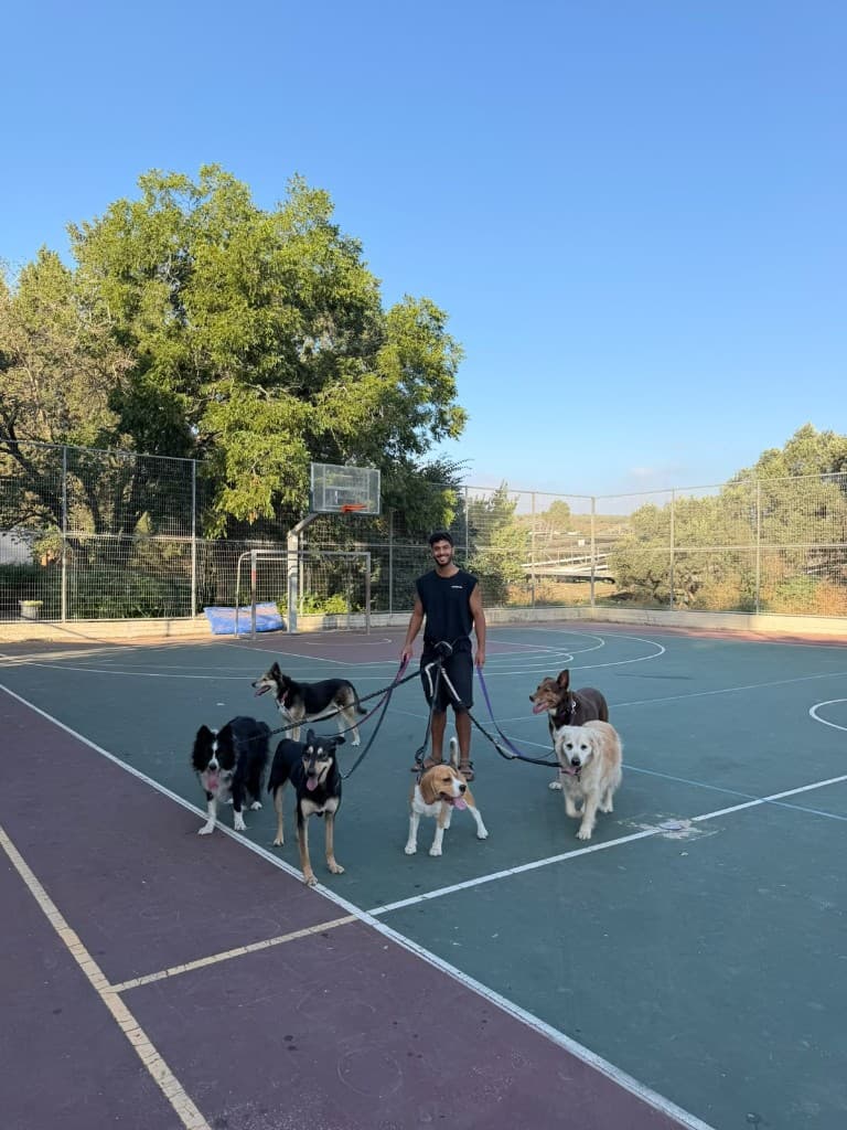 רגע מהחצר והטיולים בפנסיון חבר בחצר