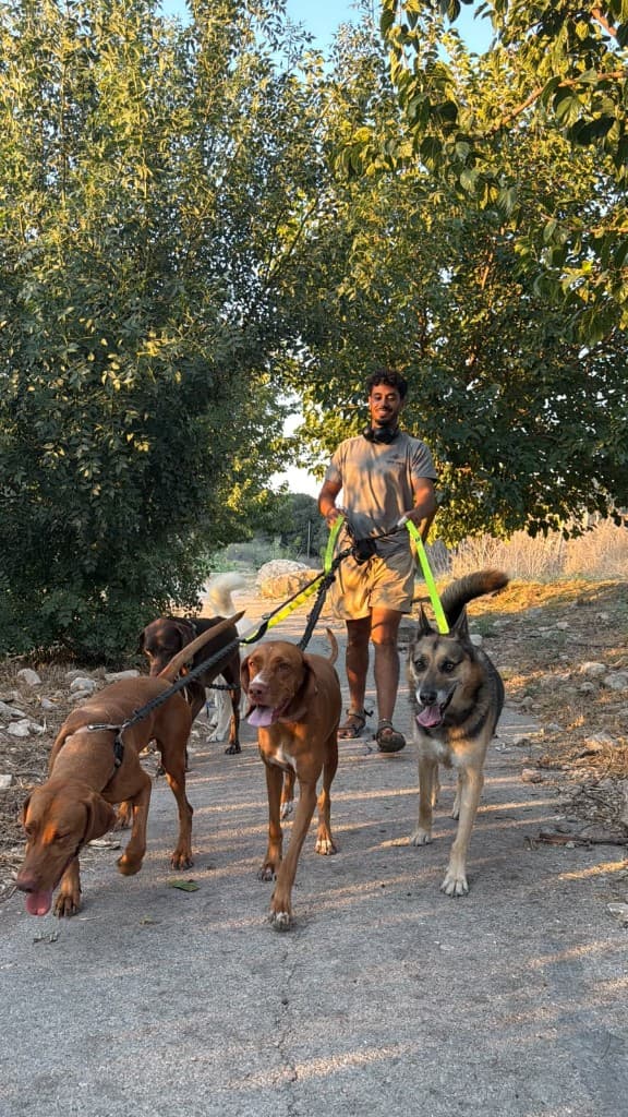 רגע מהחצר והטיולים בפנסיון חבר בחצר