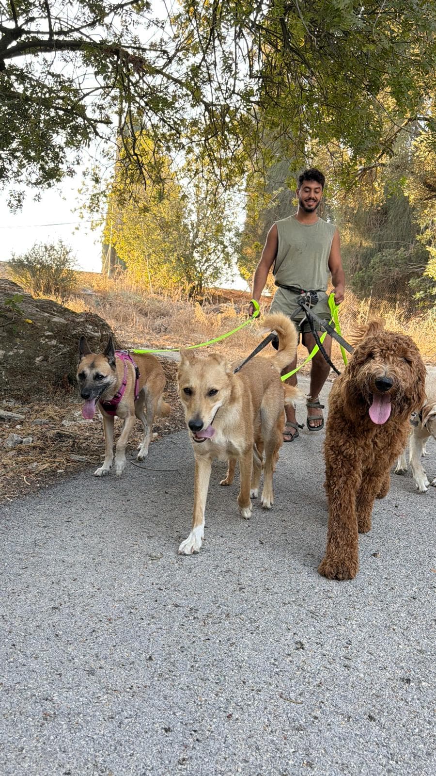 רגע מהחצר והטיולים בפנסיון חבר בחצר