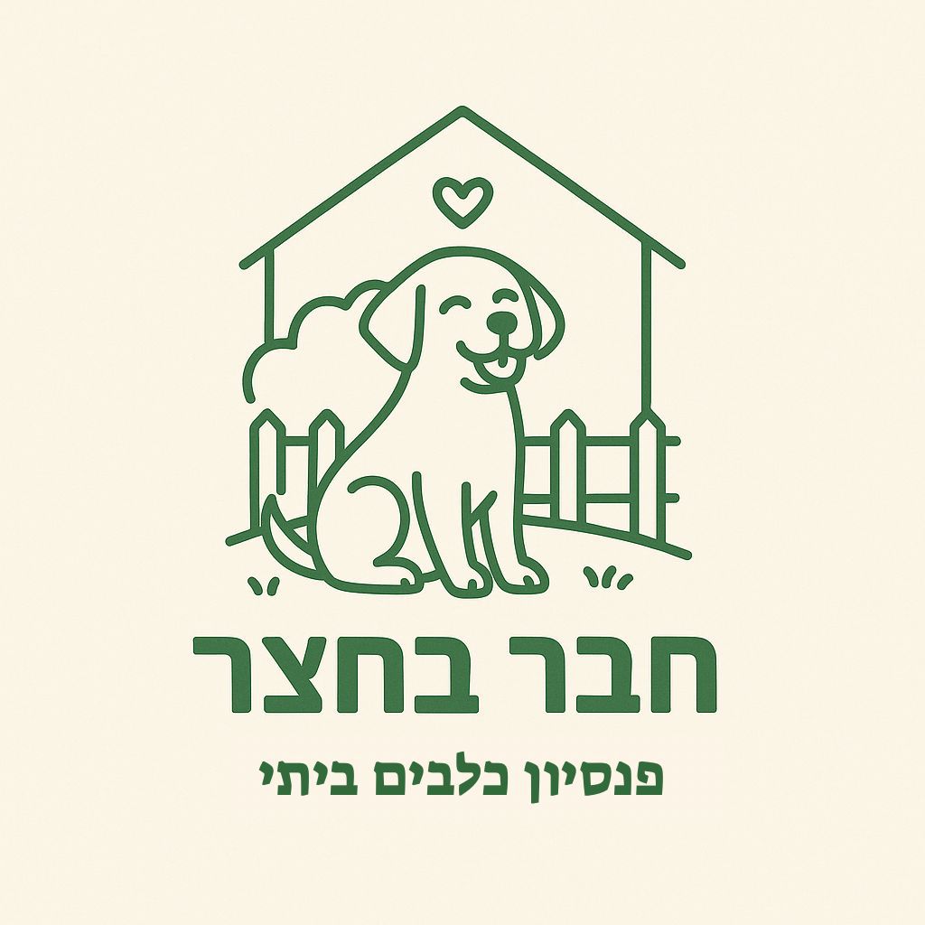 חבר בחצר